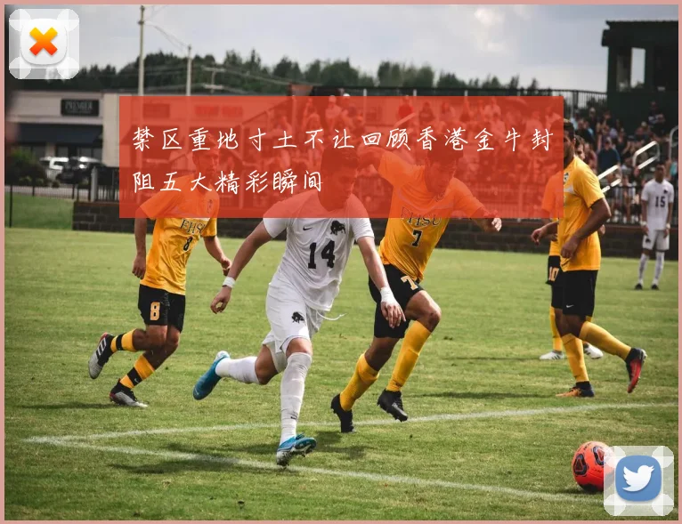 禁区重地寸土不让回顾香港金牛封阻五大精彩瞬间